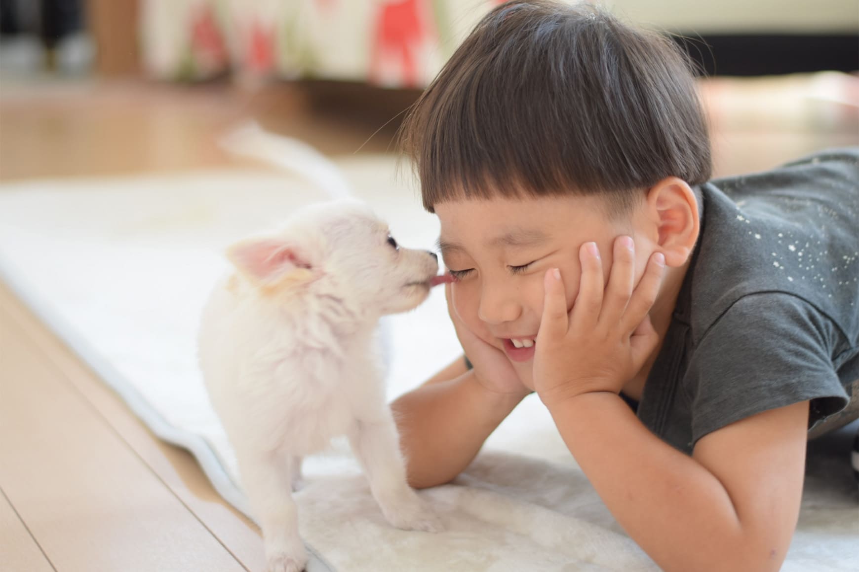 ペットとの新生活を成功させるために